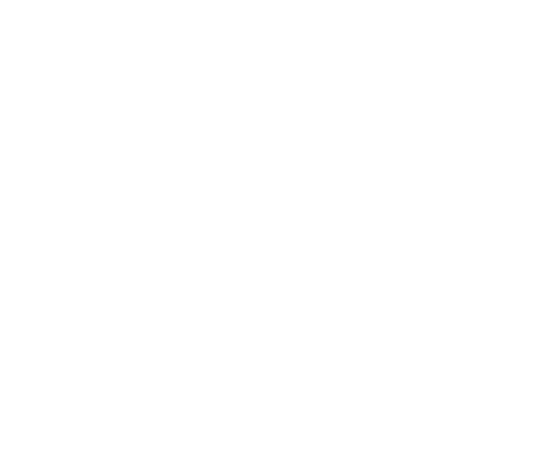 Wild Ones 