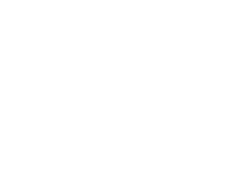Wild Ones Smoky Mountains Chapter