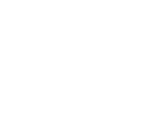 Wild Ones Ozark Chapter