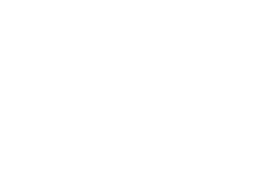 Wild Ones SoKY Chapter