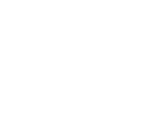 Wild Ones 