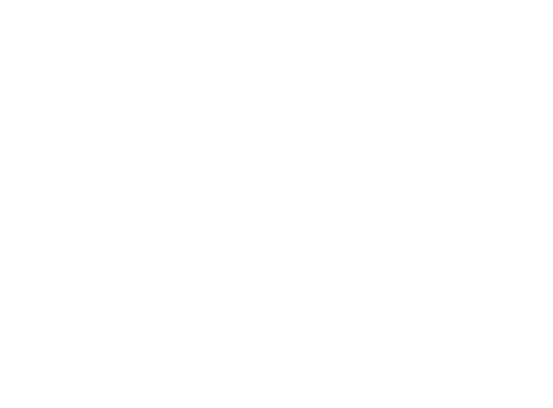 Wild Ones Mohawk Valley Chapter