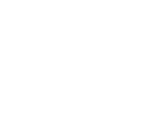 Wild Ones Madison Chapter