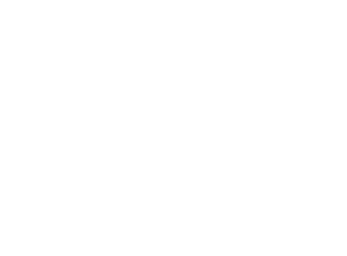Wild Ones 