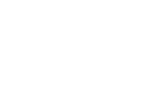 Wild Ones Ann Arbor Chapter