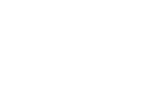 Wild Ones San Diego Chapter