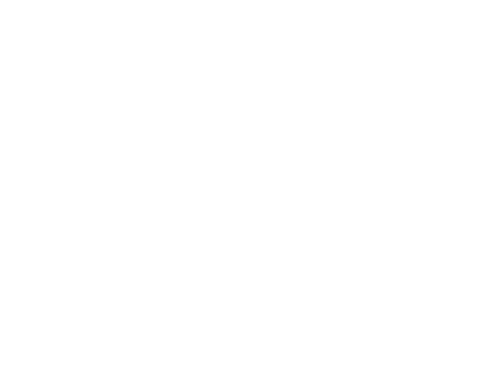 Wild Ones 