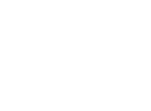 Wild Ones Lexington Chapter