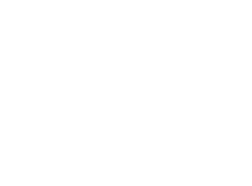 Wild Ones North Oakland Chapter