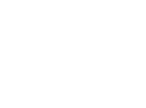 Wild Ones Tennessee Valley Chapter