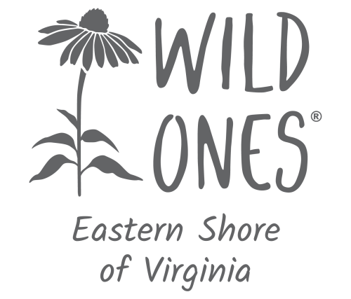 Wild Ones Eastern Shore of Virginia (Seedling) Chapter