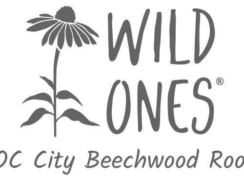 Wild Ones ROC City Beechwood Roots (Seedling) Chapter