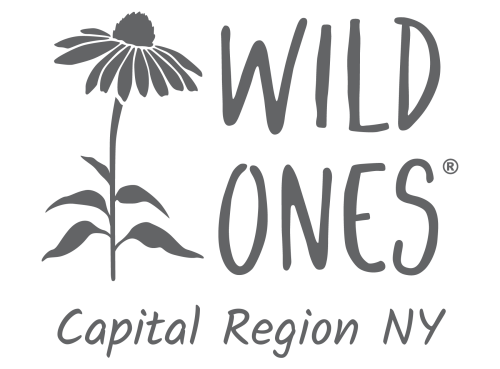 Wild Ones Capital Region NY Chapter