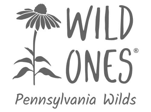Wild Ones Pennsylvania Wilds (Seedling) Chapter