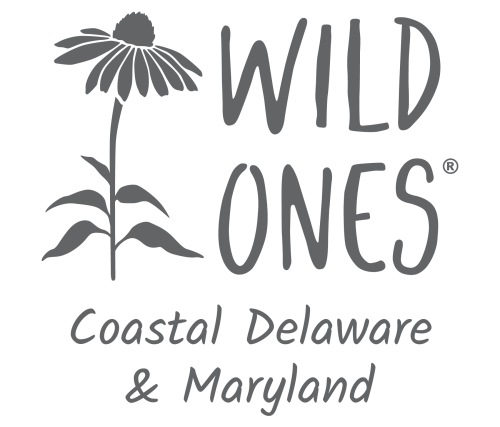 Wild Ones Coastal Delaware & Maryland (Seedling) Chapter