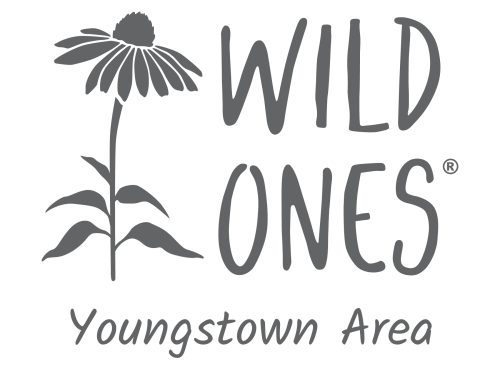 Wild Ones Youngstown Area Chapter