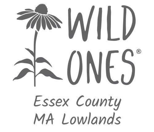 Wild Ones Essex County MA Lowlands (Seedling) Chapter