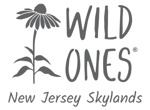Wild Ones New Jersey Skylands (Seedling) Chapter