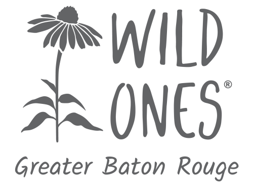 Wild Ones Greater Baton Rouge Chapter