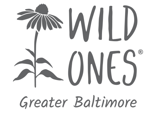 Wild Ones Greater Baltimore Chapter