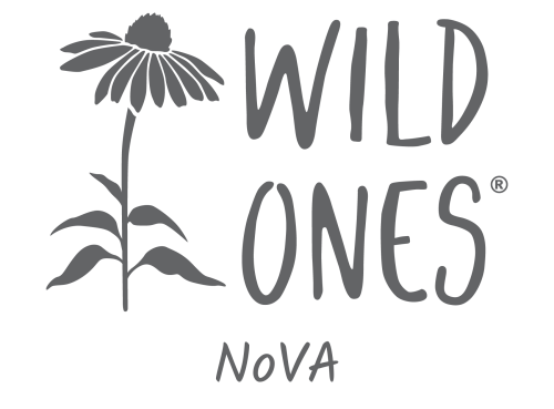Wild Ones NoVA Chapter