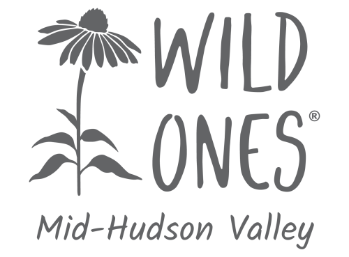 Wild Ones Mid-Hudson Valley Chapter