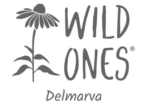 Wild Ones Delmarva (Seedling) Chapter