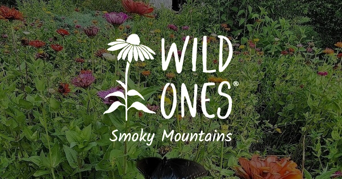 Your Ultimate Native Plant Landscape Guide: Here are the Native Plants Used  at Seven Islands State Birding Park's Garden that will Transform Your Own  Backyard!  Wild Ones Smoky Mountains Chapter