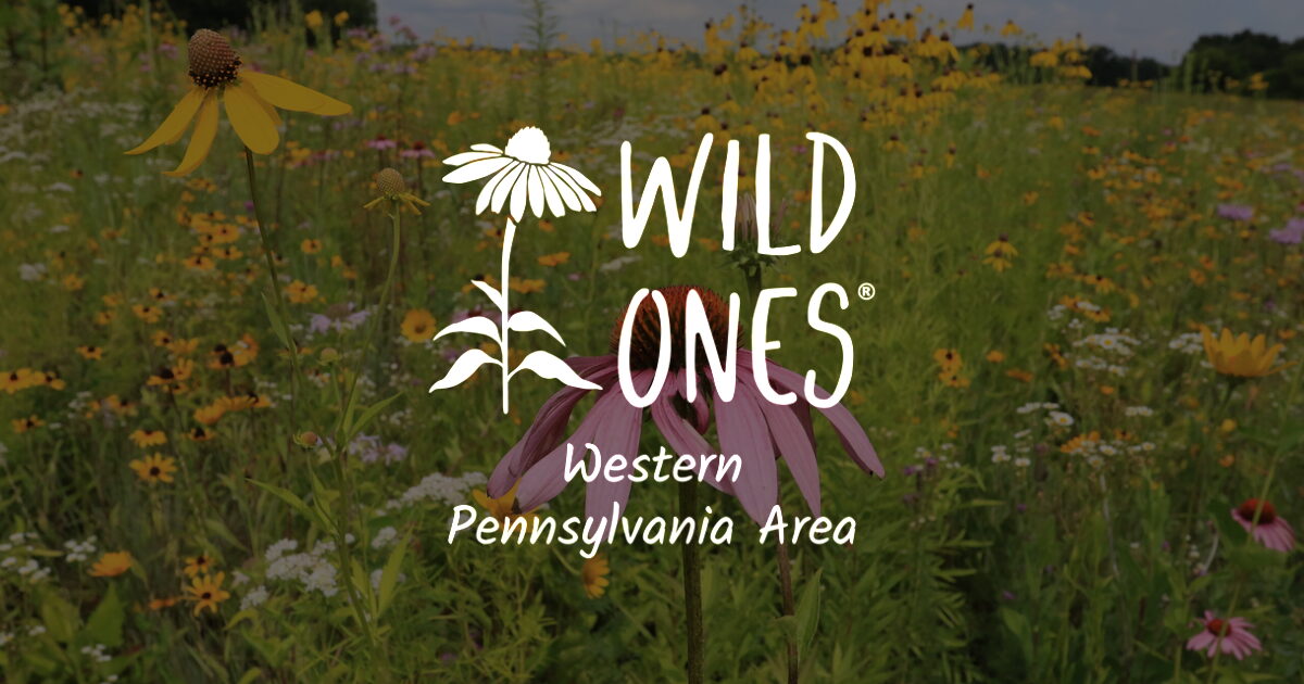 reading-list-wild-ones-western-pennsylvania