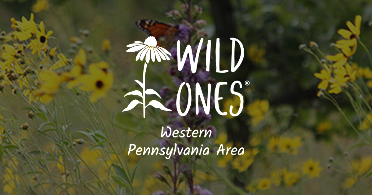 List of Where to Buy Native Plants in Western Pa