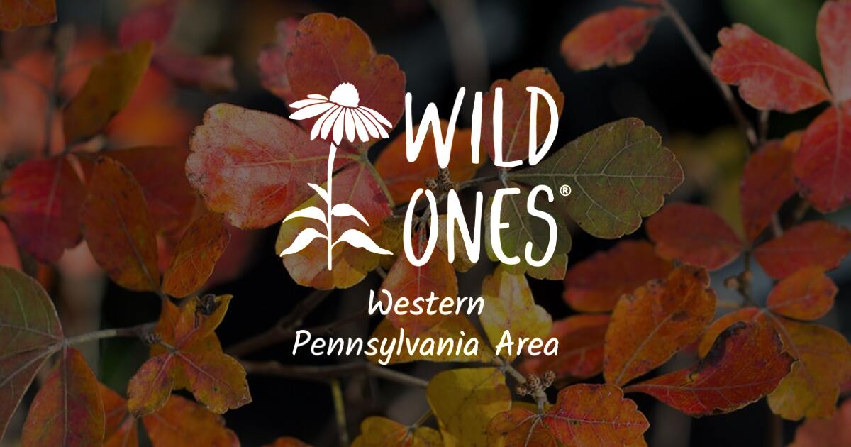 Annual Native Plant Symposium Wild Ones Western Pennsylvania