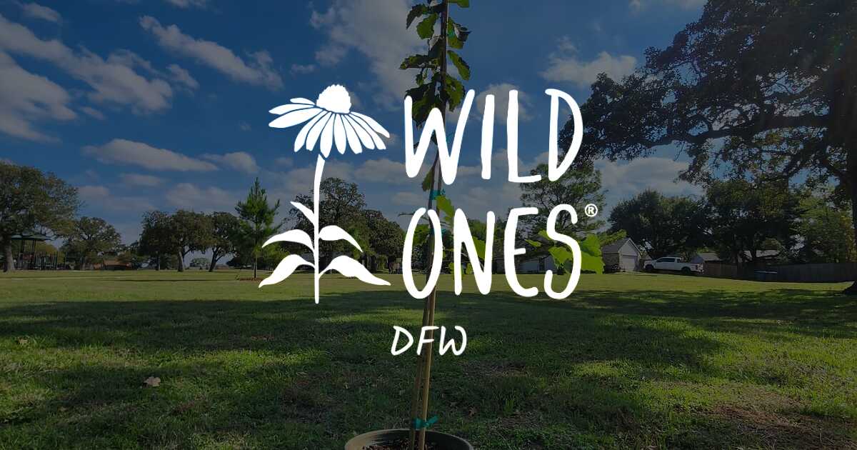 Wild Ones DFW First Annual Tree Planting – Wild Ones DFW Chapter