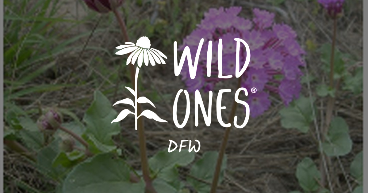 Unlocking the Power of the Native Plant Database 🌿 – Wild Ones DFW Chapter
