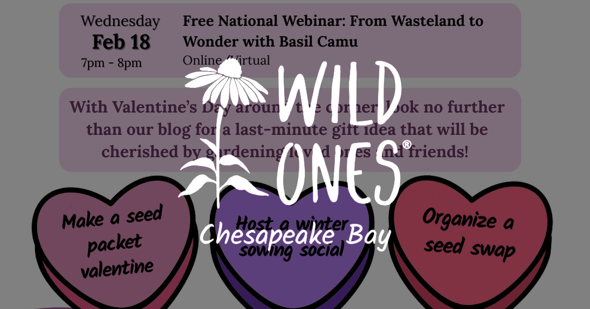 February 2026 Happenings – Wild Ones Chesapeake Bay Chapter
