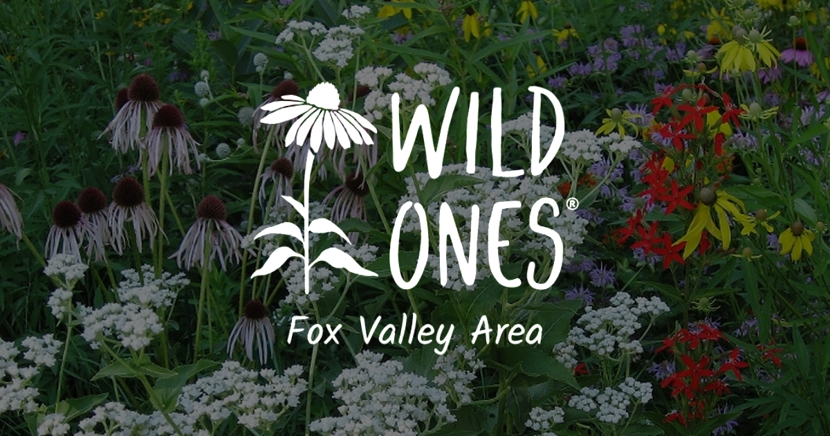 Wisconsin Native Plant Certification Program – Wild Ones Fox Valley ...