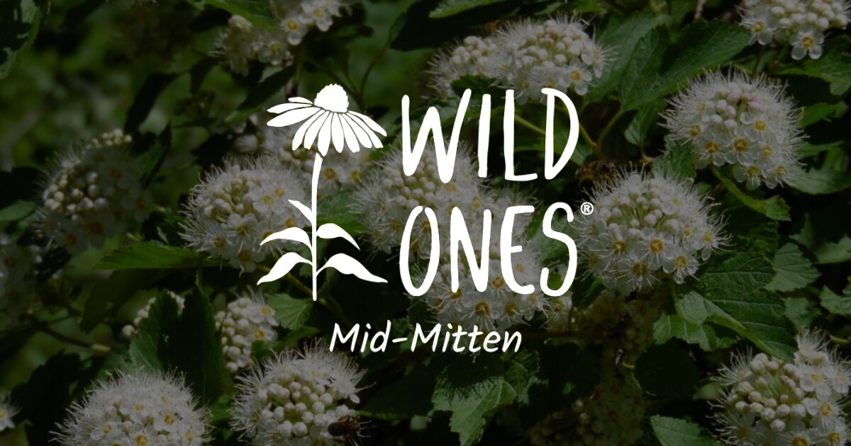 Learn – Wild Ones Mid-Mitten Chapter