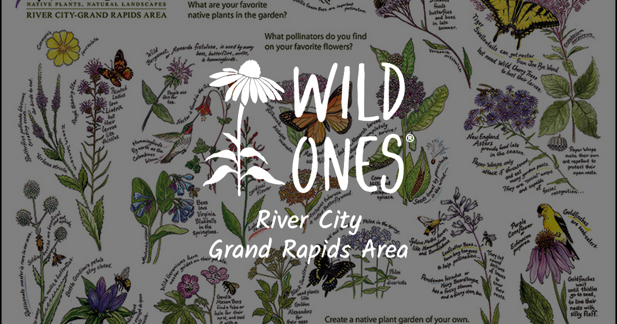 Wild Ones Pollinator & Native Plants Poster - Wild Ones River City ...