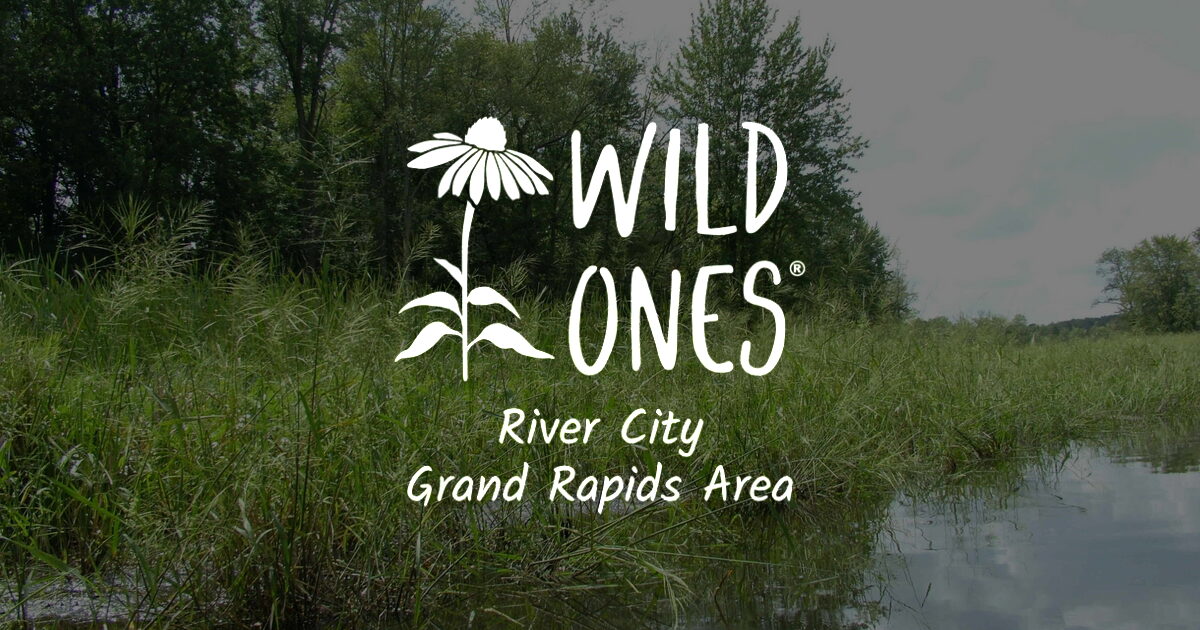 Manoomin: The Story of Wild Rice in Michigan - Wild Ones River City ...