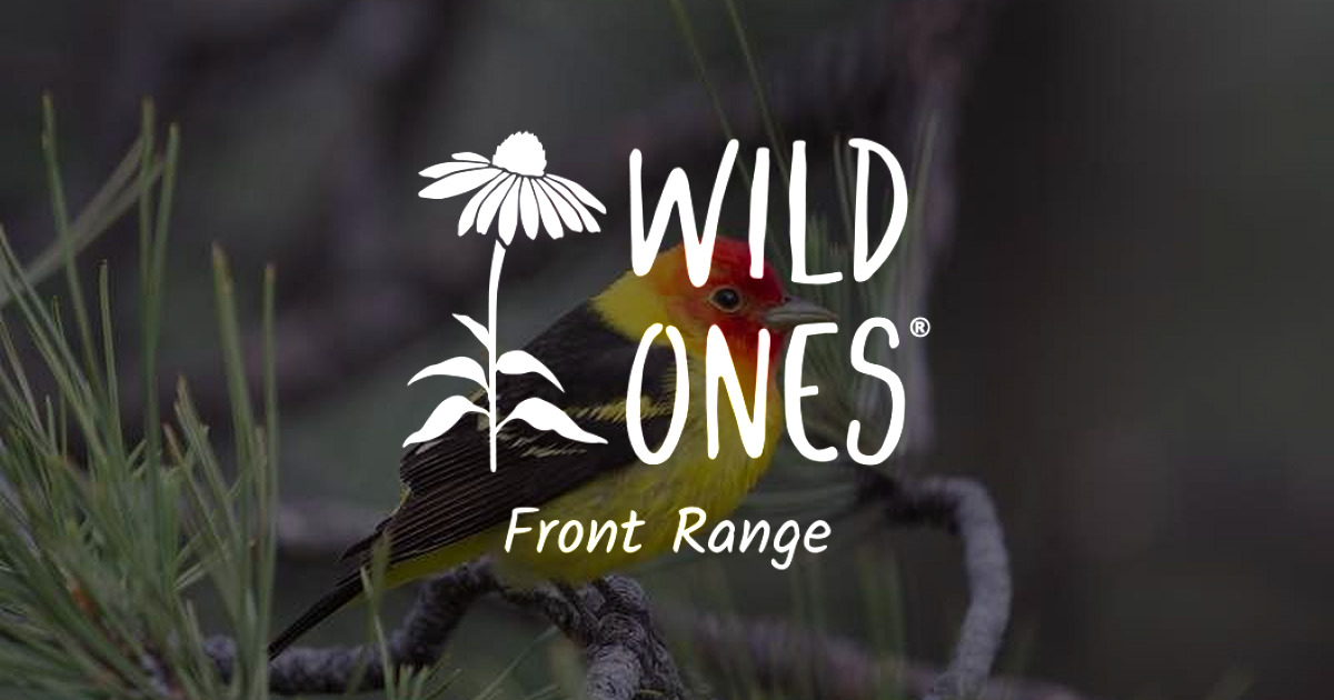 Bird Feeders and Avian Flu Wild Ones Front Range Chapter