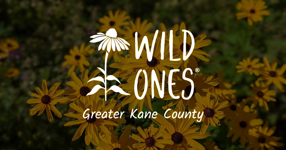 Kane Spring Project Spring Ephemeral Project – Wild Ones Greater Kane County Chapter