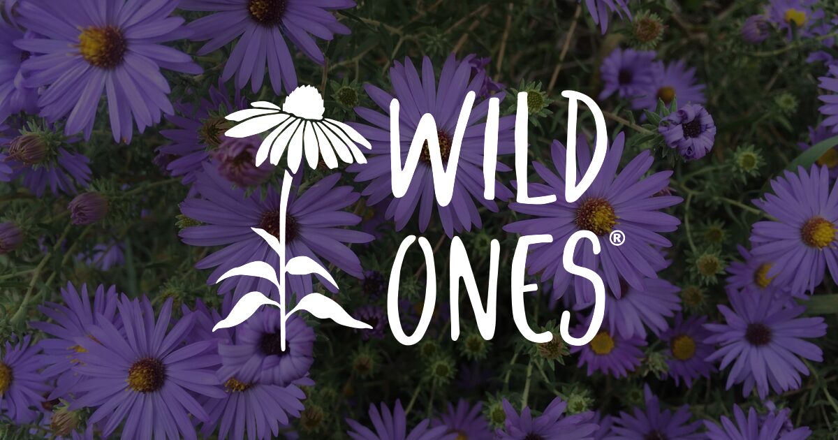 Mum Madness - Wild Ones: Native Plants, Natural Landscapes