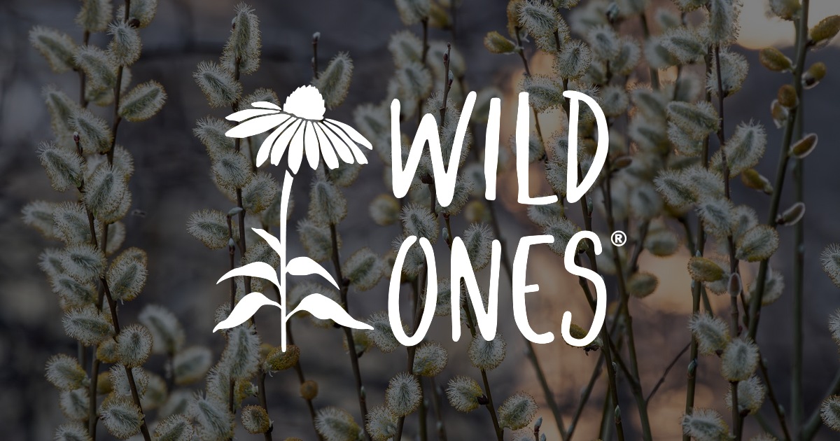 April Native April Native Plant News - Wild Ones: Native Plants, Natural Landscapes