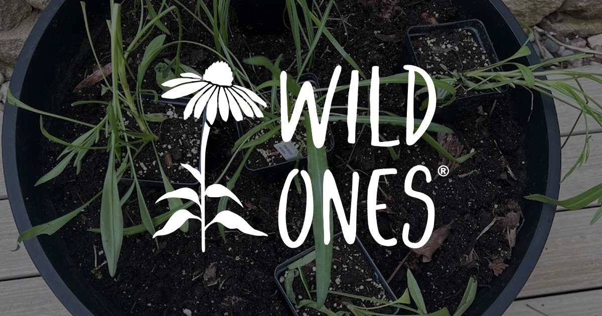 The Prairie Pots Project - Wild Ones: Native Plants, Natural Landscapes